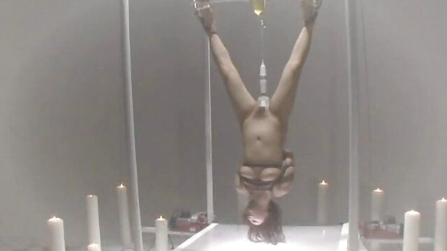 गुणवत्ता सिनेमा :  Tasha Reign लाई यस्तो राम्रो कुकुरको पूजा गर्न मन पर्छ। मुखमैथुन वीडियो 